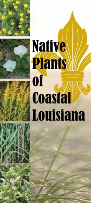 Native Plants of Coastal Louisiana Introduction: Acknowledgements