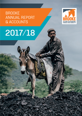 Annual Report and Accounts 2017-18
