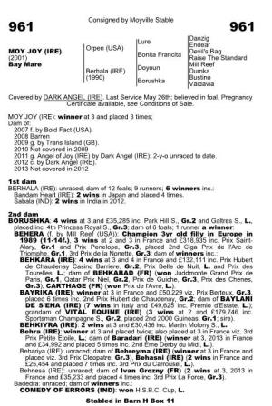 Consigned by Moyville Stable Lure Danzig Endear Orpen
