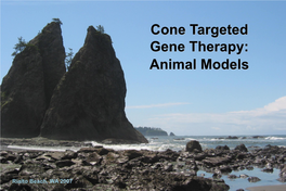 Cone Targeted Gene Therapy: Animal Models