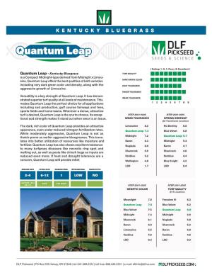 Quantum Leap - Kentucky Bluegrass TURF QUALITY Is a Compact Midnight-Type Derived from Midnight X Limou- Sine