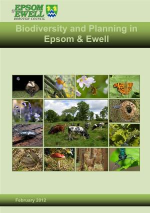 Biodiversity and Planning in Epsom & Ewell