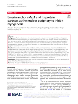 Emerin Anchors Msx1 and Its Protein Partners at the Nuclear Periphery To