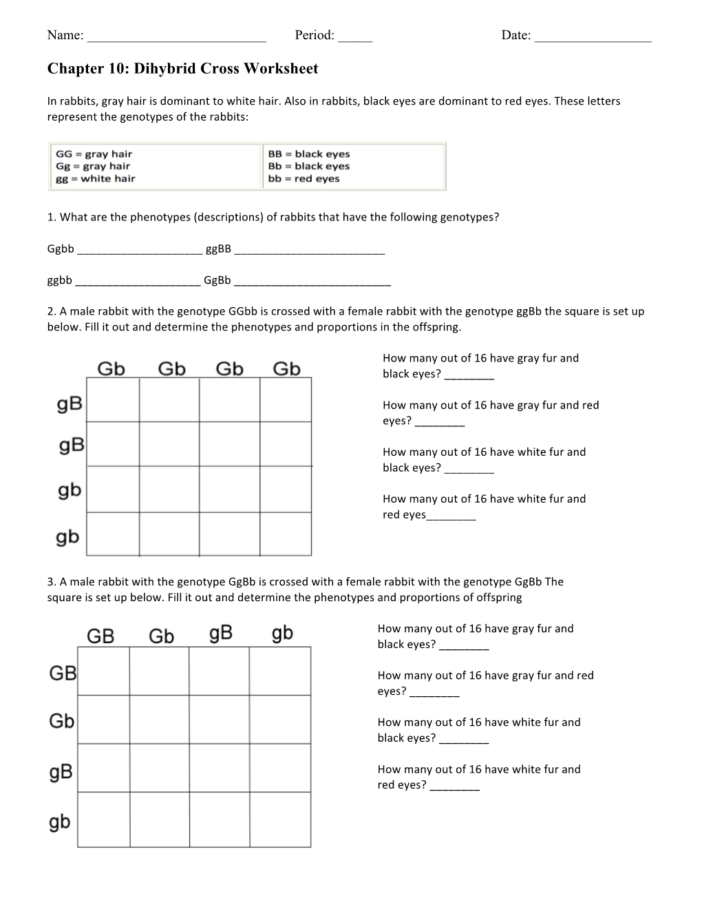 Chapter 10: Dihybrid Cross Worksheet