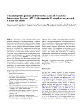 The Phylogenetic Position and Taxonomic Status of Sterechinus Bernasconiae Larrain, 1975 (Echinodermata, Echinoidea), an Enigmatic Chilean Sea Urchin