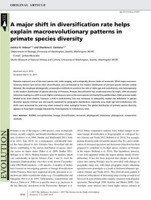 A Major Shift in Diversification Rate Helps Explain Macroevolutionary