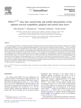 Mice Lack Carotid Body and Exhibit Abnormalities of the Superior