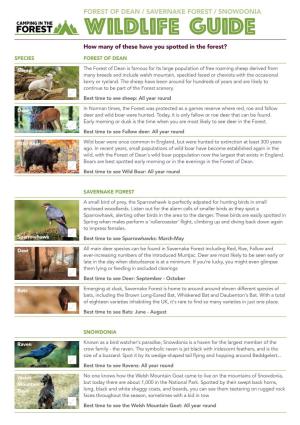 Wildlife Guide How Many of These Have You Spotted in the Forest?