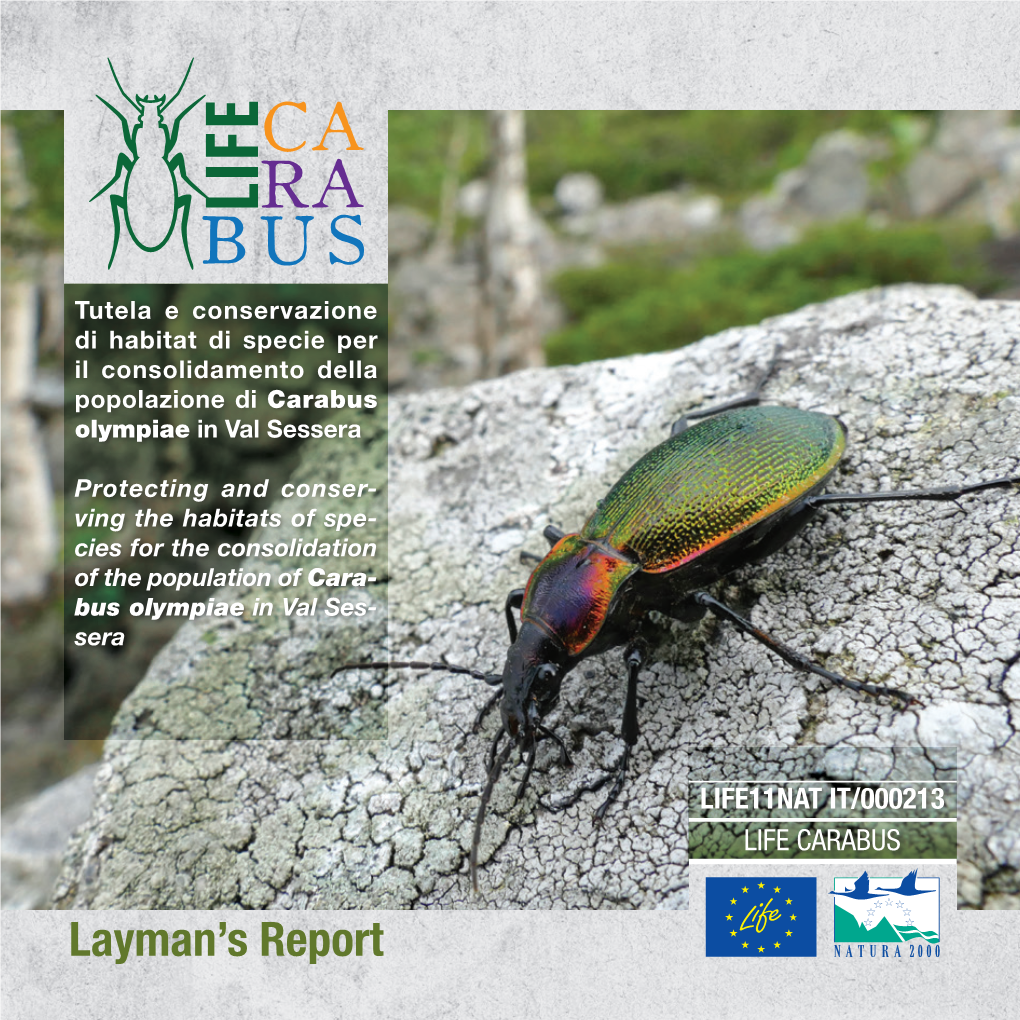 Layman's Report