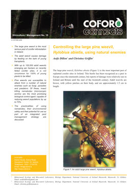 Controlling the Large Pine Weevil, Hylobius Abietis, Using Natural