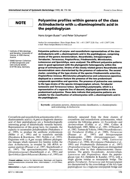 Polyamine Profiles Within Genera of the Class Actinobacteria with U-Diaminopimelic Acid in the Peptidoglycan