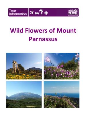 Wild Flowers of Mount Parnassus
