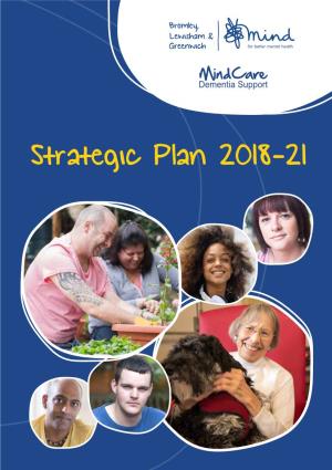 Our Strategic Plan 2018-21