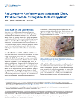 Rat Lungworm Angiostrongylus Cantonensis (Chen, 1935) (Nematoda: Strongylida: Metastrongylida)1 John Capinera and Heather S