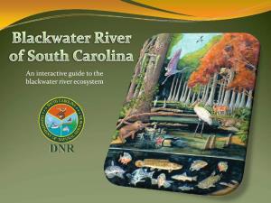 An Interactive Guide to the Blackwater River Ecosystem Click Here for Introduction to the Blackwater River Ecosystem