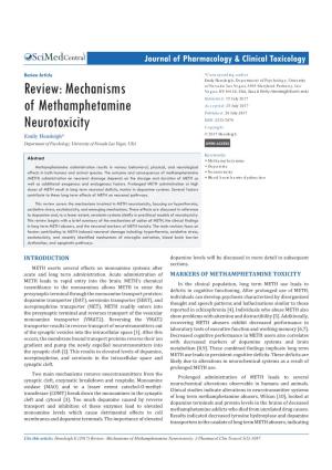 Mechanisms of Methamphetamine Neurotoxicity