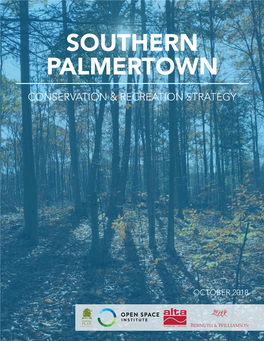 Southern Palmertown