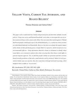 Yellow Vests, Carbon Tax Aversion, and Biased Beliefs