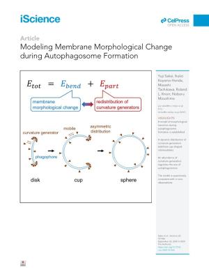 Modeling Membrane Morphological Change During Autophagosome Formation