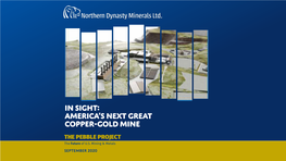In Sight: America's Next Great Copper-Gold Mine