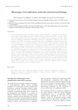 Bluetongue Virus Replication, Molecular and Structural Biology