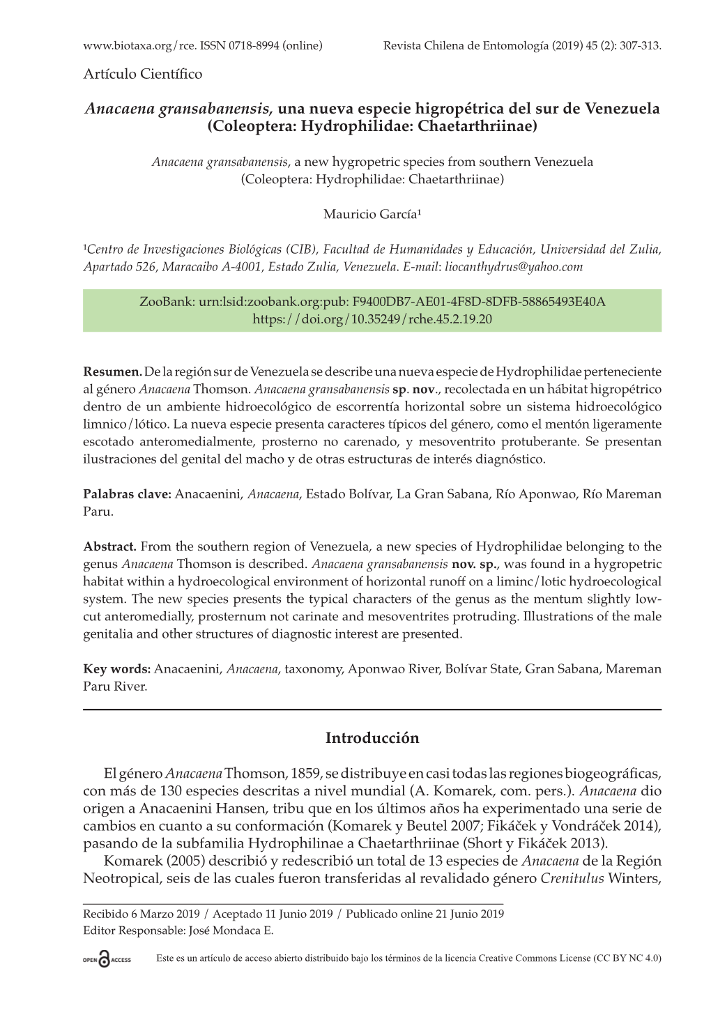 Anacaena Gransabanensis, Una Nueva Especie Higropétrica Del Sur De Venezuela (Coleoptera: Hydrophilidae: Chaetarthriinae)