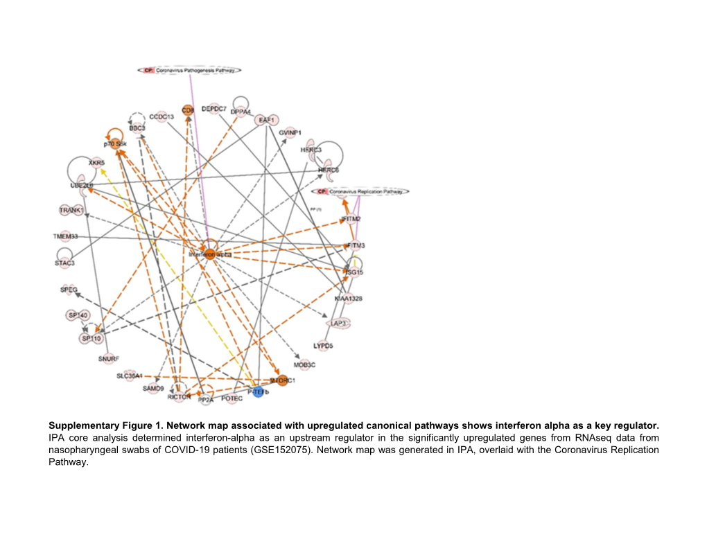 Supplementary Figure 1. Network Map Associated with Upregulated Canonical Pathways Shows Interferon Alpha As a Key Regulator