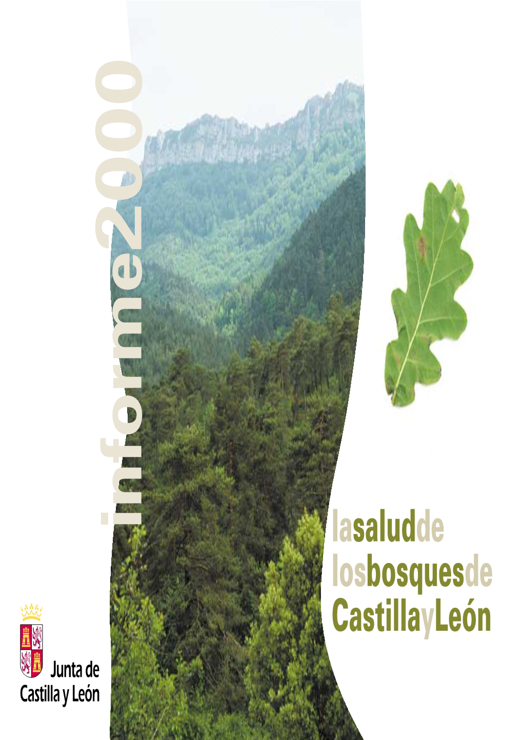 La Salud De Los Bosques En Castilla Y León