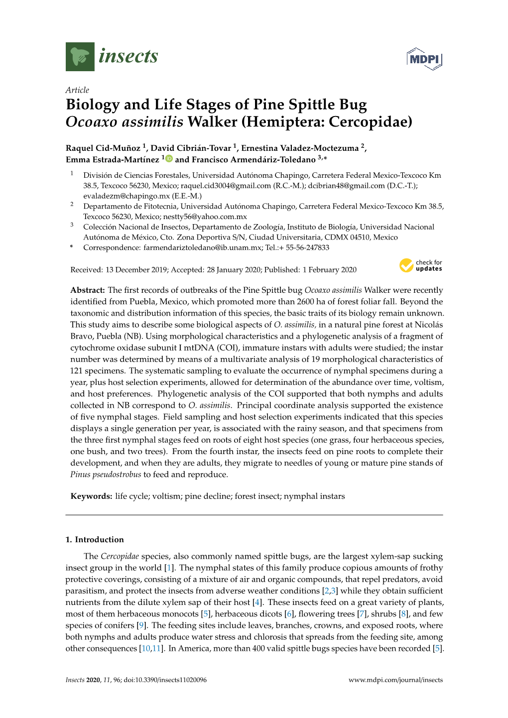 Biology and Life Stages of Pine Spittle Bug Ocoaxo Assimilis Walker (Hemiptera: Cercopidae)