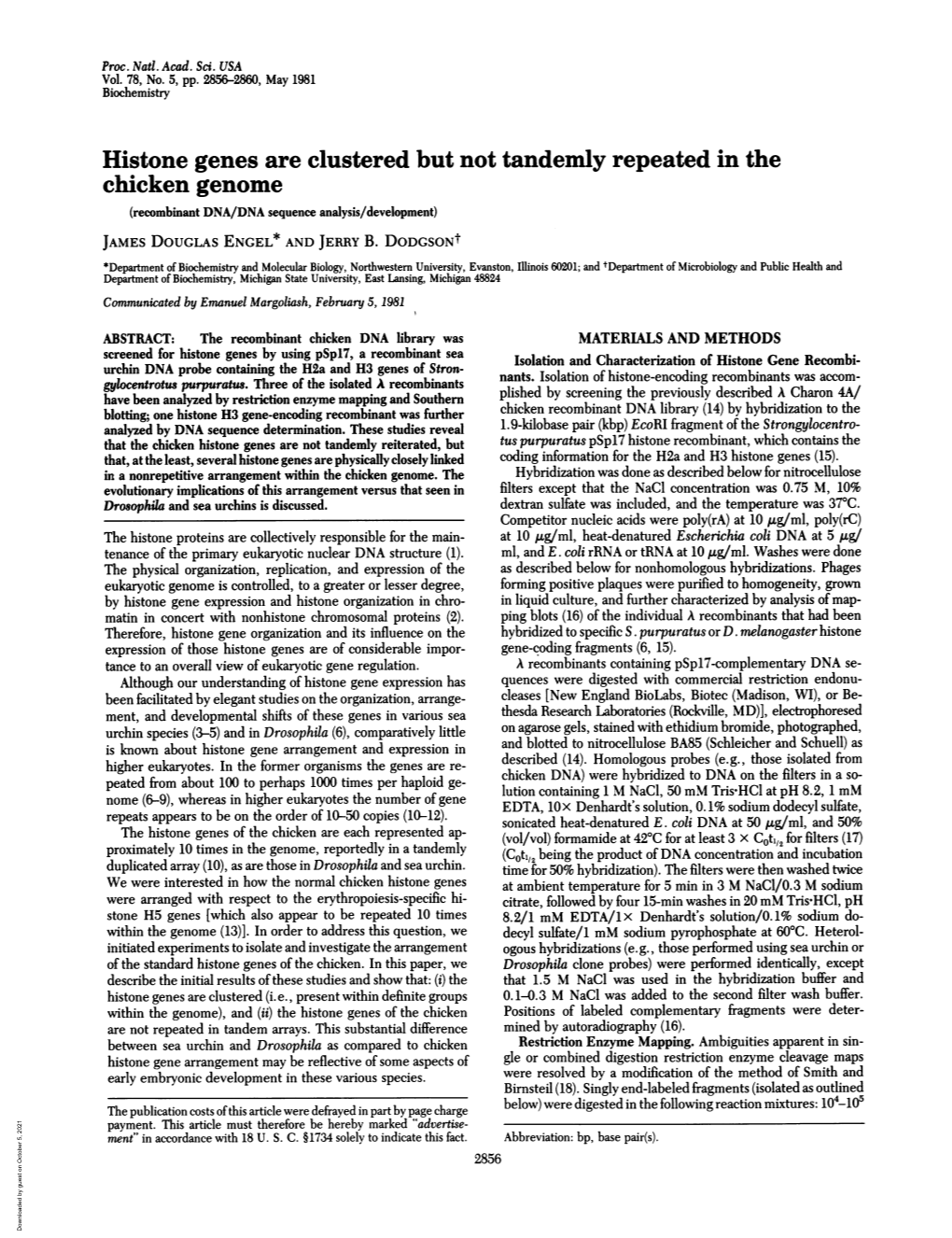 Histone Genes Are Clustered but Not Tandemly Repeated in the Chicken Genome (Recombinant DNA/DNA Sequence Analysis/Development) JAMES DOUGLAS ENGEL* and JERRY B