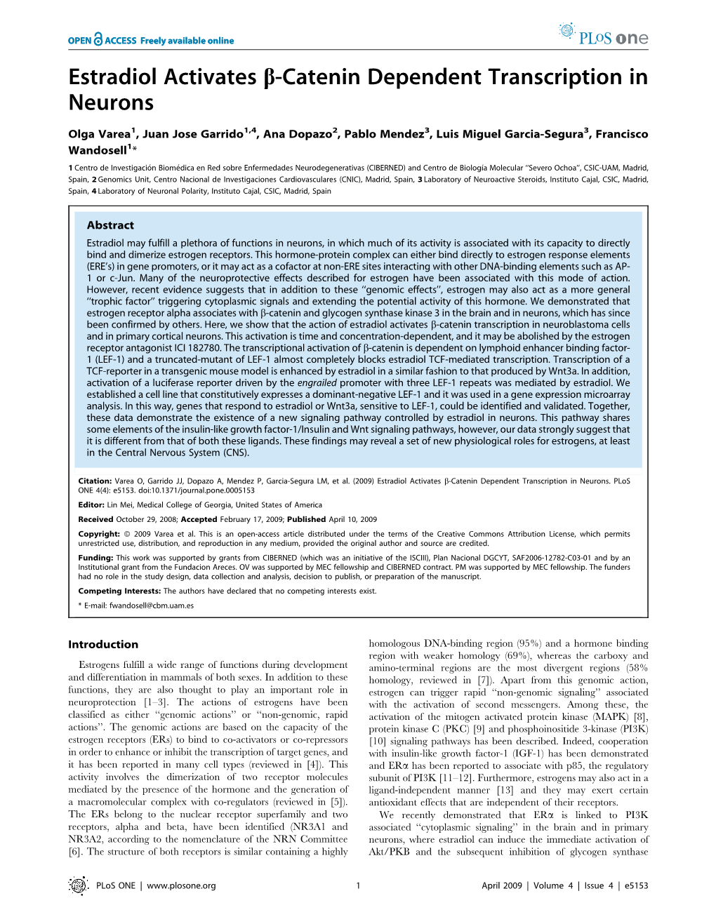 Estradiol Activates B-Catenin Dependent Transcription in Neurons