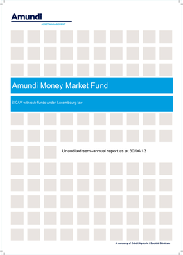 Amundi Money Market Fund