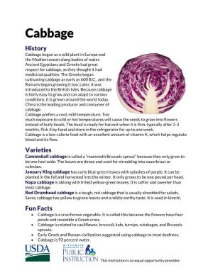 Cabbage History Cabbage Began As a Wild Plant in Europe and the Mediterranean Along Bodies of Water