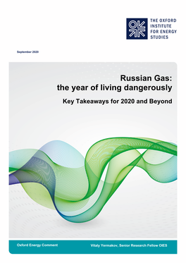 Russian Gas: the Year of Living Dangerously