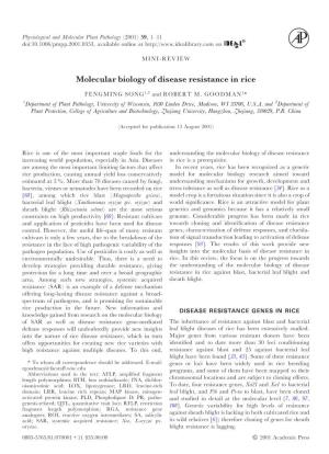 Molecular Biology of Disease Resistance in Rice