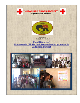 Final Report of Thalassemia/Sickle Cell Prevention Programme In