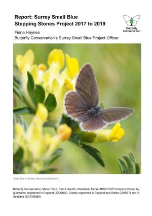 Surrey Small Blue Stepping Stones Project 2017 to 2019 Fiona Haynes Butterfly Conservation’S Surrey Small Blue Project Officer
