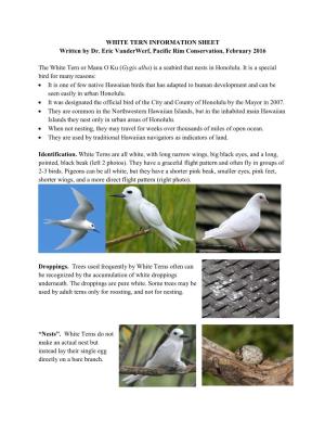 WHITE TERN INFORMATION SHEET Written by Dr. Eric Vanderwerf, Pacific Rim Conservation, February 2016