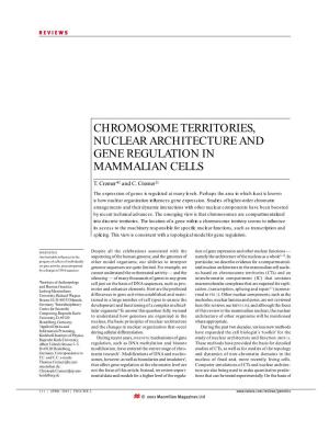 Chromosome Territories, Nuclear Architecture and Gene Regulation in Mammalian Cells