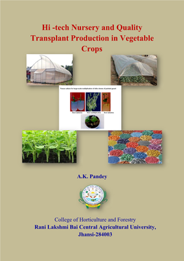 Hi -Tech Nursery and Quality Transplant Production in Vegetable Crops