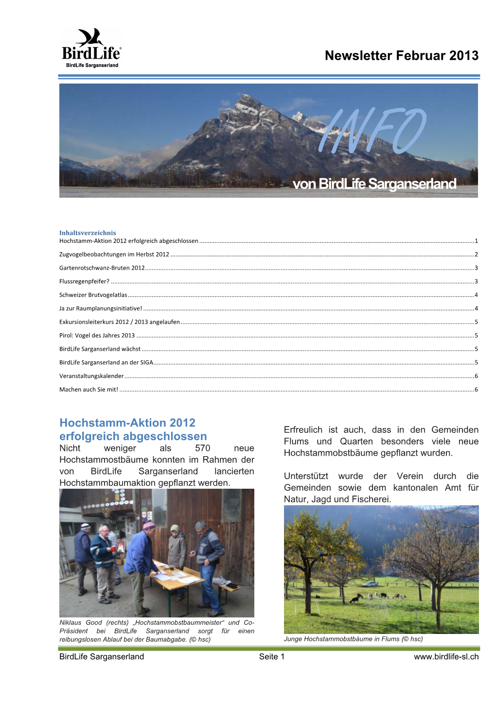 Newsletter Vom Februar 2013