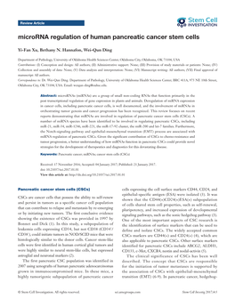 Microrna Regulation of Human Pancreatic Cancer Stem Cells