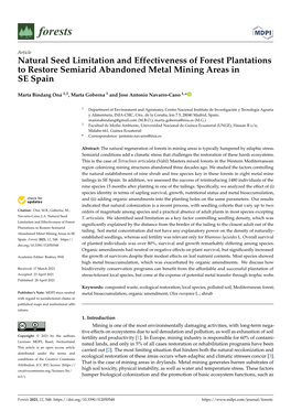 Natural Seed Limitation and Effectiveness of Forest Plantations to Restore Semiarid Abandoned Metal Mining Areas in SE Spain