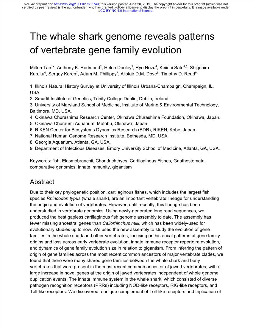 The Whale Shark Genome Reveals Patterns of Vertebrate Gene Family Evolution