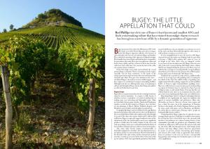 Bugey: the Little Appellation That Could