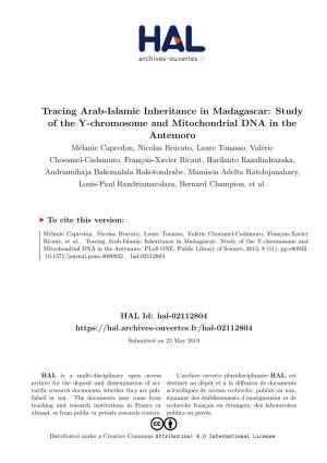 Study of the Y-Chromosome and Mitochondrial DNA in the Antemoro