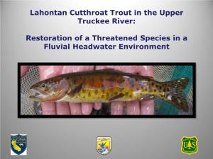 Lahontan Cutthroat Trout in the Upper Truckee River