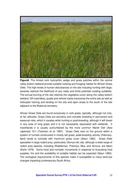 29 Figure8. the Limited Rank Hydrophilic Sedge and Grass Patches Within the Central Valley Bottom Wetland Provide Suitable Roost