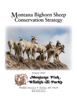 Montana Bighorn Sheep Conservation Strategy