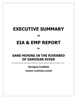 Executive Summary Eia & Emp Report